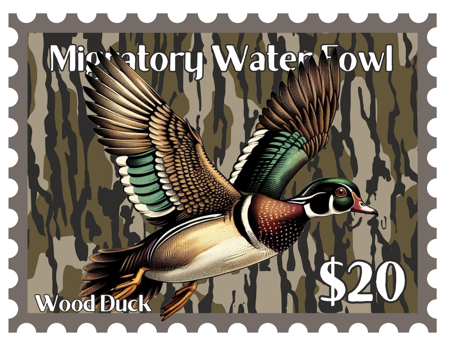 Duck stamp collection